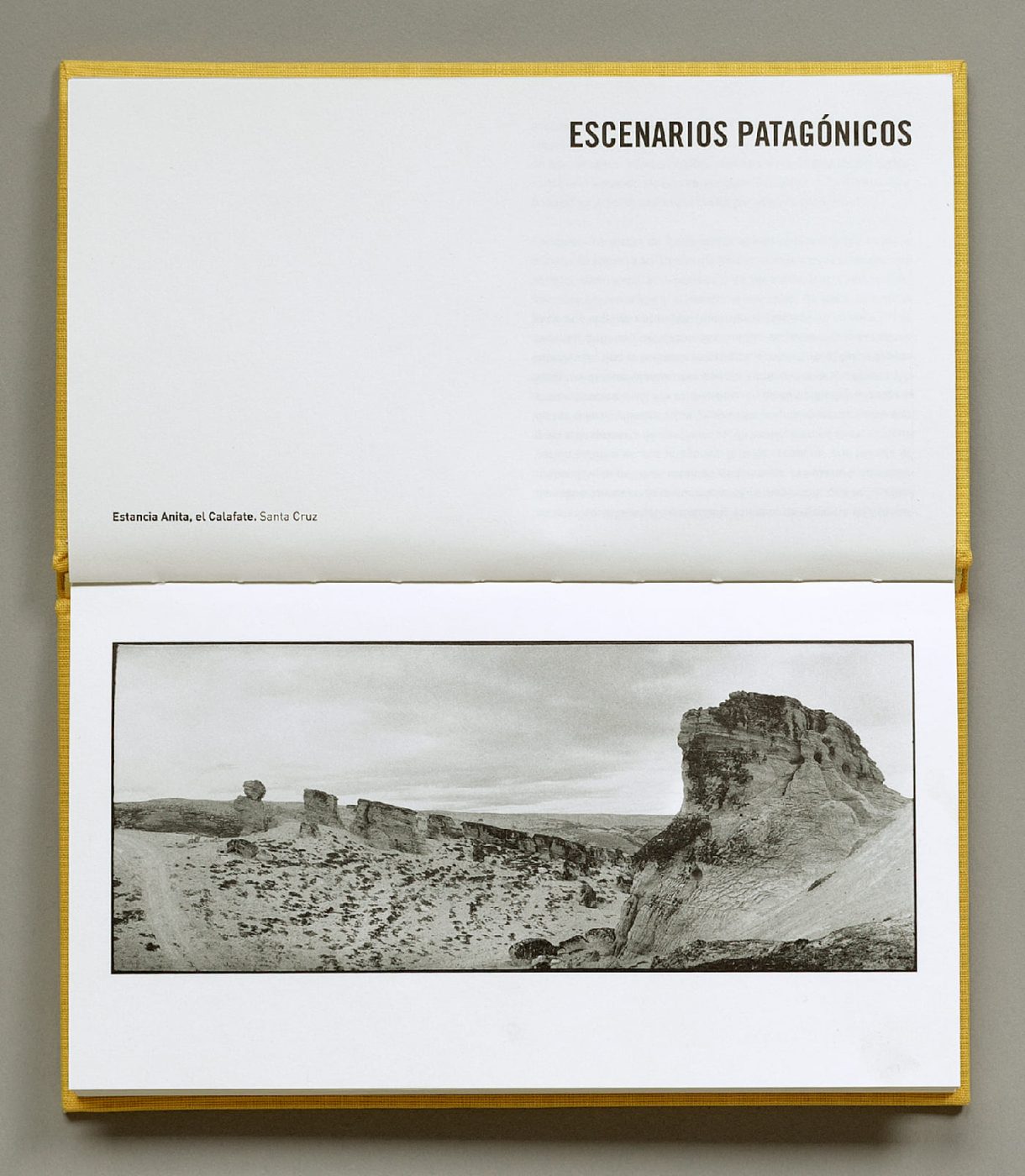 Fernando Maquieira - fernando-maquieira_escenarios-patagonicos_libro_2025_03