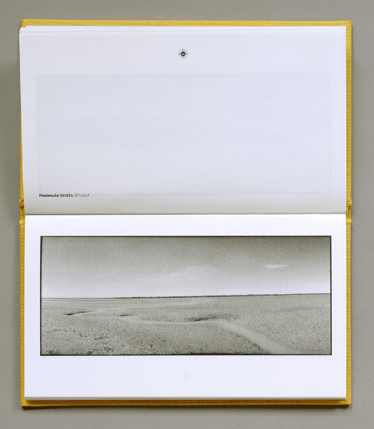 Fernando Maquieira - fernando-maquieira_escenarios-patagonicos_libro_2025_04