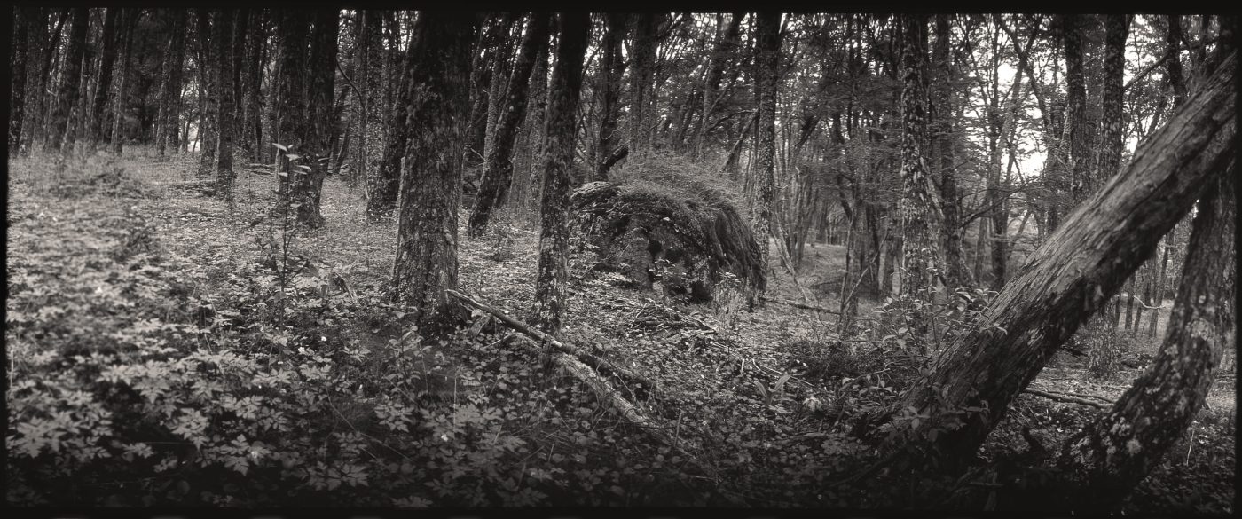 Fernando Maquieira - fernando-maquieira_escenarios-patagonicos_serie_2025_05